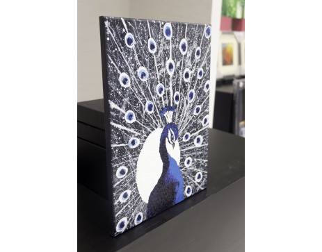 Arrogant Peacock